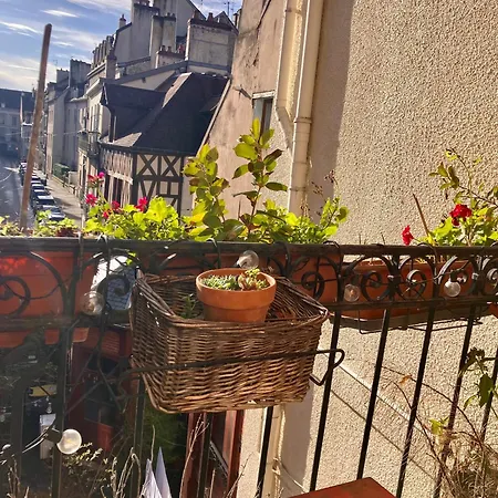 Bucolique - Coeur Historique Digione