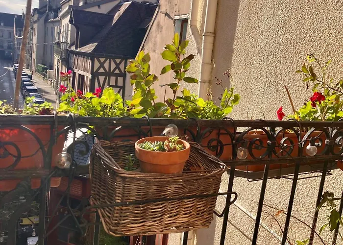 Bucolique - Coeur Historique ディジョン